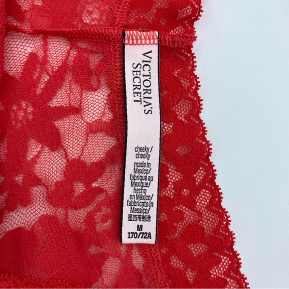 Victoria’s Secret Lace Hiphugger & Cheeky Panty Floral Black & Red Medium - Picture 4 of 5